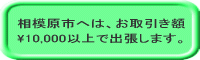 ���͌��s
