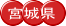 �{�錧