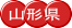 �R�`��