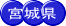 �{�錧