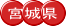 �{�錧