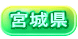 �{�錧